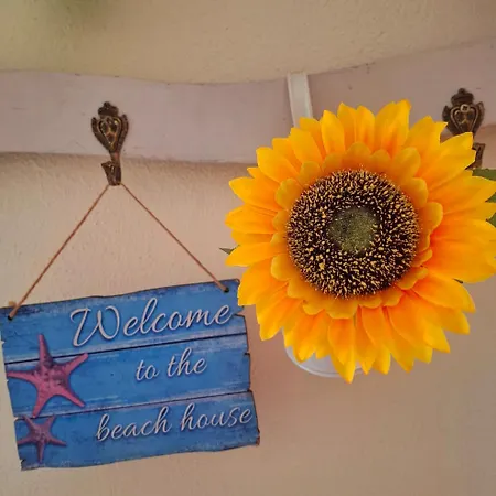 Sunflower House
